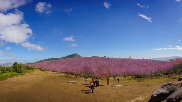 Loei Thailand December 2020 Prachtige Panorama Van Phu Lom Bergen — Stockfoto