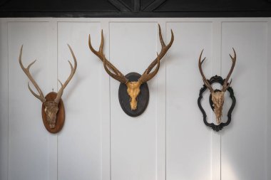 Eski çürük tuğla duvar dekorasyonunda klasik çerçeveli geyik kafası doldurulmuş hayvan kafası. Konsept vintage tarzı.
