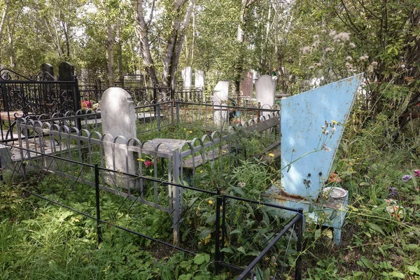 묘목들 기념물들은 뒤틀리고 나무들로 뒤덮여 Russia Krasnoyarsk Badalyksk Cemetery October — 스톡 사진