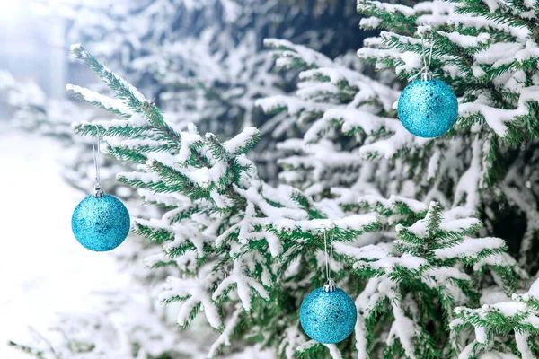 New Years decoration balls on a snowy branch. Christmas tree toy on the branches of spruce covered with snow. Blue shiny balloon toy on the new year tree. Royalty Free Stock Photos