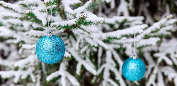 Nieuwjaar decoratie ballen op een besneeuwde tak. Kerstboom speelgoed op de takken van sparren bedekt met sneeuw. Blauw glanzend ballon speelgoed op de nieuwjaarsboom. lange spandoek. Stockfoto