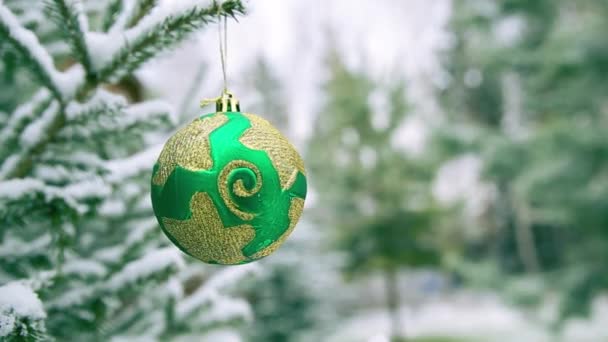 Verde brillante juguete redondo en un árbol de Navidad cubierto de nieve. — Vídeos de Stock