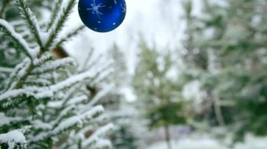 Bir kadın bahçede Noel ağacını süslüyor..