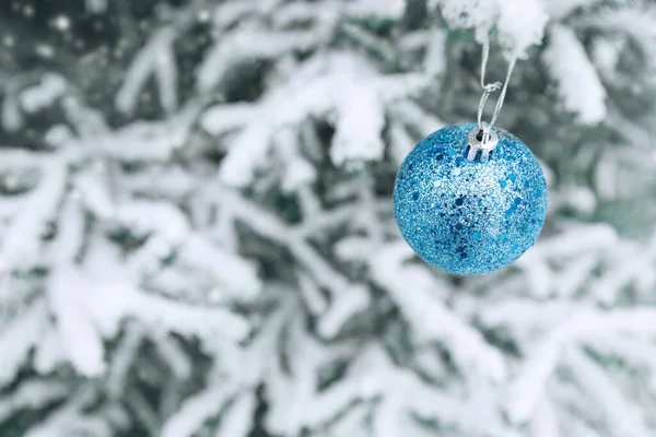 Christmas tree toy on the branches of spruce covered with snow. Blue shiny balloon toy on the new year tree. New Years decoration balls on a snowy branch — Stock Photo, Image
