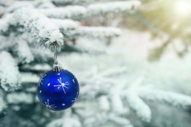 Karlı bir dalda yılbaşı süsleri. Karla kaplı ladin dallarında Noel ağacı oyuncağı. Yeni yıl ağacında mavi parlak balon oyuncağı.