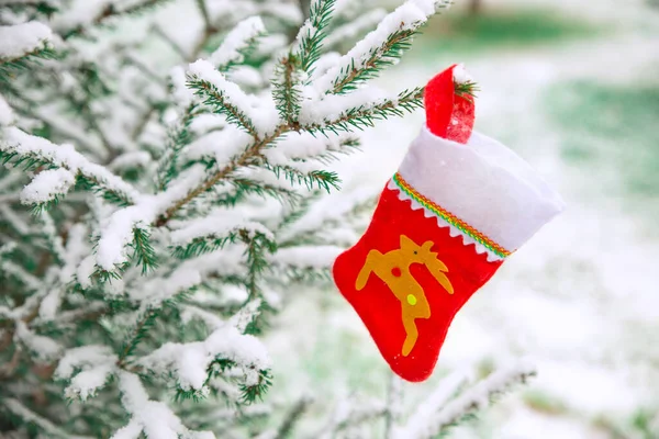 Noel hediyeleri için Noel Baba kırmızı çorabı ormanda karla kaplı bir Noel ağacında asılı duruyor. Karla kaplı bir köknar ağacının dallarındaki Noel ağacı oyuncağı. Geyikli kırmızı çorap