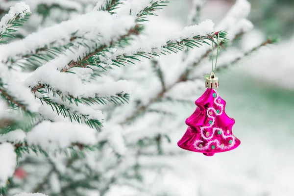 Karla kaplı bir dalda Noel süsü mor Noel ağacı. Ormanın arka planında, karla kaplı ladin dallarında parlayan Noel ağacı oyuncağı.