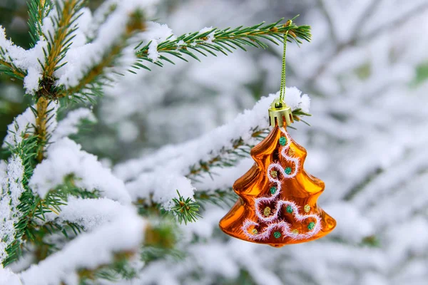 Yeni yıl süslemesi, karla kaplı bir dalda kırmızı parlak Noel ağacı oyuncağı. Ormanın arka planında, karla kaplı ladin dallarında parlayan Noel ağacı oyuncağı.