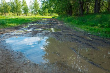 Su birikintileri ve çamurlu arazi aracı için kırlarda zorlu bir manzara ve yol. Sonbahar ya da ilkbahar. Arka planda orman var. Yağmurla yıkanmış yol, geçilemez, çamurlu, çamurlu.