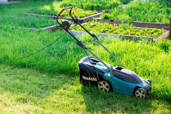 Corta Relva Eléctrico Makita Relvado Verde Cortado Com Cortador Relva — Fotografia de Stock