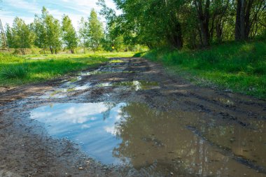 Su birikintileri ve çamurlu arazi aracı için kırlarda zorlu bir manzara ve yol. Sonbahar ya da ilkbahar. Arka planda orman var. Yağmurla yıkanmış yol, geçilemez, çamurlu, çamurlu