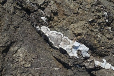 Kuvars damarı. Kayanın bileşimindeki kaya oluşumu mineralleri. Doğal taşın dokusu