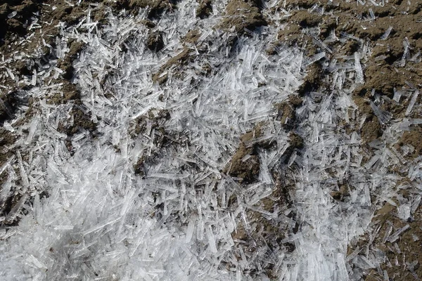 Ice floes. Melting crushed ice on the wet ground. Spring melting of snow and ice. Close-up