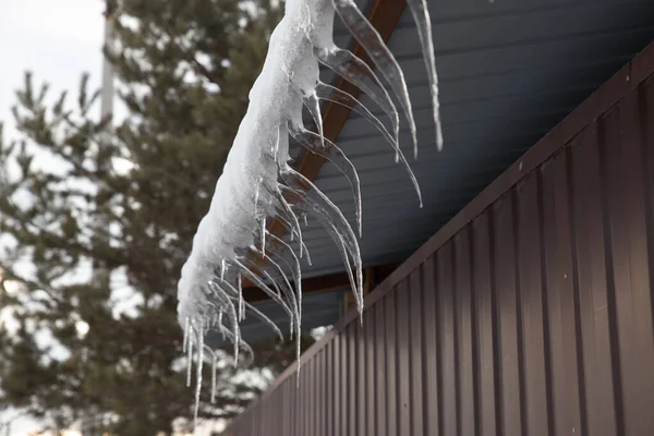 Icicle Colgando Una Casa Paisaje Invernal Icicles Colgando Cuneta Lluvia Imágenes de stock libres de derechos