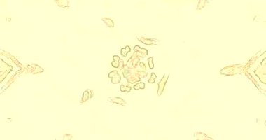 Etkileyici bir tünel videosu deneyin. Canlı dinamik şekiller ve desenler kusursuz bir şekilde dönüyor. Herhangi bir boşluğa görsel ilgi eklemek için mükemmel.