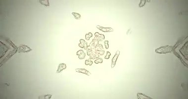 Büyüleyici bir tünel video tasarımı, izleyicileri birbirine bağlayan döngü desenleri ile sürekli hareket yaratır. Ekran koruyucuları ve görsel ekranlar için ideal, herhangi bir dijital ortamı geliştirmek için.