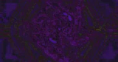 Kıvrımlı renklerden oluşan canlı bir tünel büyüleyici bir görsel deneyim yaratır. Kusursuz döngü, bu soyut tasarım ekran koruyucular veya video sanatı için mükemmel dinamik bir atmosfer ekler.