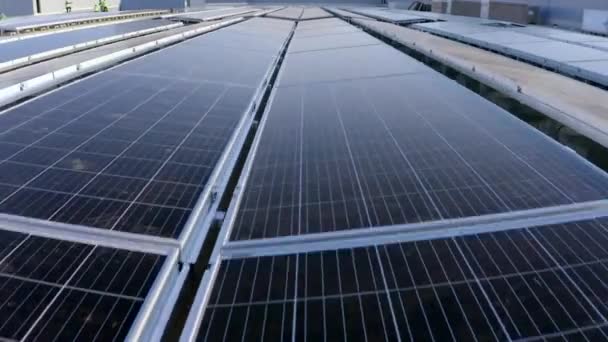 Vista Drones Paneles Solares Techo Fábrica Que Generan Electricidad Energía — Vídeos de Stock