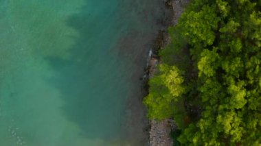 İHA Türkiye 'nin güneyindeki Phaselis sahilinde uçuyor. Taşlı plajın havadan görünüşü. Kıyıdaki kayalara su sıçratıyor. Mavi ve dalgalı denizli çam ağaçları