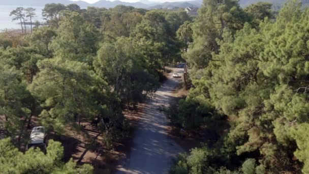 トルコの南海岸 地中海 2020年12月15日 メルセデス ベンツ190 海のそばの道路は 森の中で オープンカーの運転 道路上のロードスター 美しい風景 — ストック動画