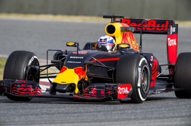 Dani Ricciardo (Redbull Yarış)