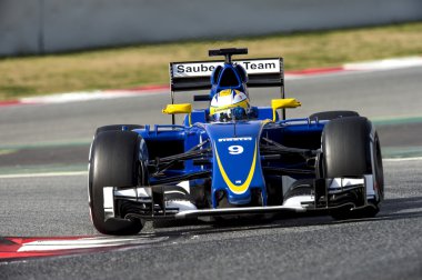 Marcus Ericsson - F1 Test Günleri