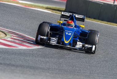 Felipe Nasr (Sauber) - F1 test