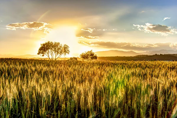 Zonsondergang landschap — Stockfoto