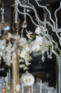 dalları vazo orkide