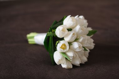 Tulips on a brown background