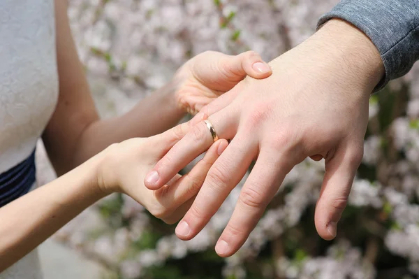 Novia y novio intercambiando anillos de boda — Foto de Stock