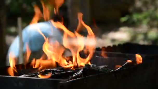 Wood burns in the grill outdoors — Stock Video