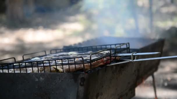 Mięsa grillowanie na ze spalania drewna — Wideo stockowe