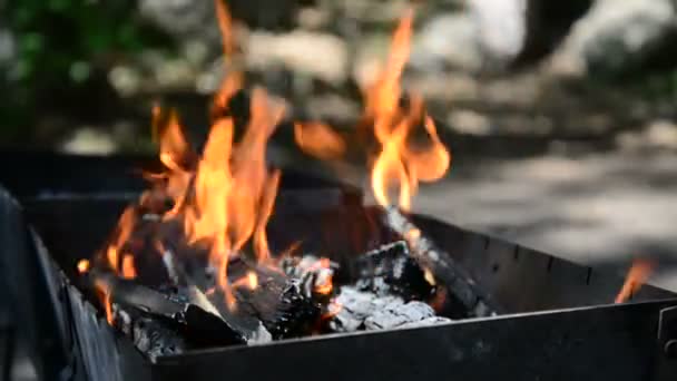 Dřevo hoří v grilu venku — Stock video