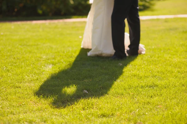 Pár líbání na trávníku — Stock fotografie