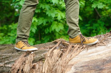 Bir oturum açma yürüyen adam