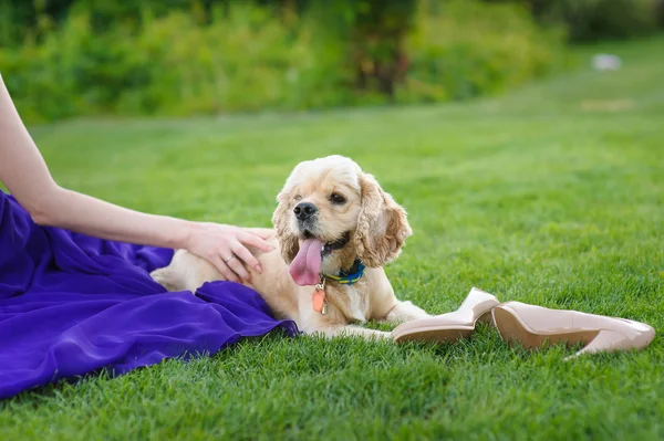 Menina acariciando um cão . — Fotografia de Stock