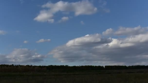 Временной промежуток. Облака над полем . — стоковое видео