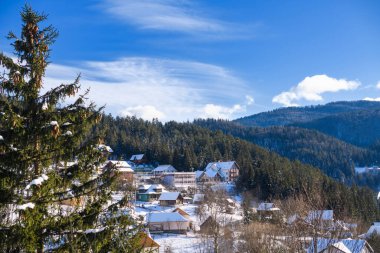 Güzel Karpatya Ukrayna köyü ağaçların arasında ağaçlar arasında dağlar ve mavi gökyüzü manzaralı
