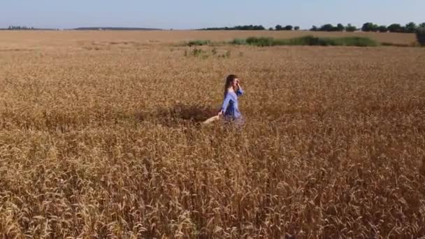 Воздушная съемка женщины на пшеничном поле — стоковое видео