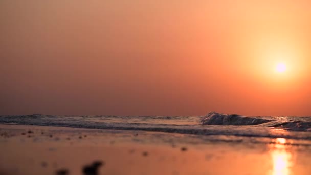 Baixo ângulo de marés ao pôr-do-sol — Vídeo de Stock