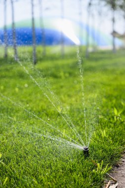 Güneş ışığında taze yeşil çimenleri sulayan bir fıskiyeye yakın çekim, su damlaları havada parlıyor ve arka planda bulanık ağaçlar var..