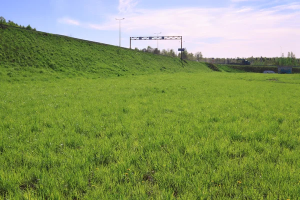 Fresco prato verde brillante e strada in collina in estate giornata di sole — Foto Stock