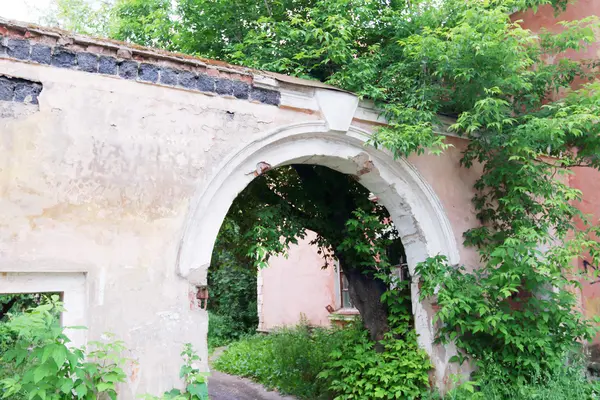 Old brick chapped wall with big arch and greenery — Stock Photo, Image