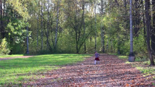 Belle petite fille en jupe voyage sur des feuilles sèches et dans le parc d'automne 