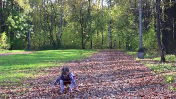 Belle petite fille en jupe vomit des feuilles sèches et dans le parc d'automne 