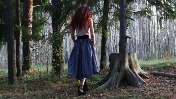 Mooi meisje gaat zitten op grote stomp in herfst bos — Stockvideo