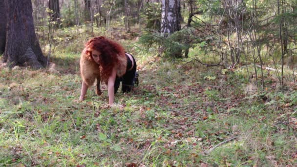 Pretty young woman creeps as animal in autumn forest at sunny day — Stock Video