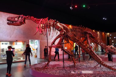 Perm, Rusya - 4 Nisan 2015: İnsanlar göz dinozor iskeletleri