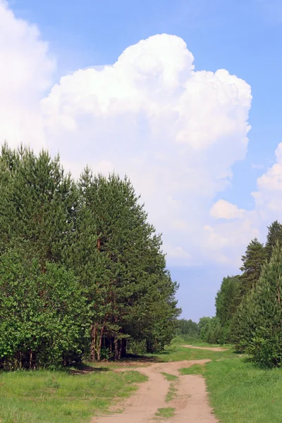 Út között a zöld fák, kék ég, a nagy felhő — Stock Fotó